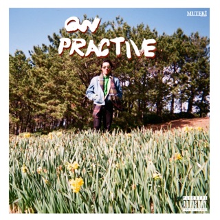 QN, PRACTIVE